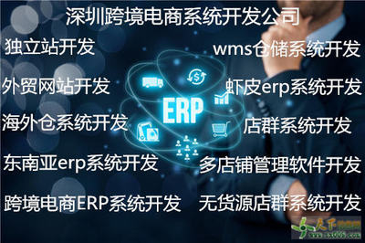 WMS倉儲系統(tǒng)開發(fā)與定制 構(gòu)建智慧物流的核心引擎